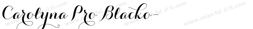 Carolyna Pro Blacko字体转换